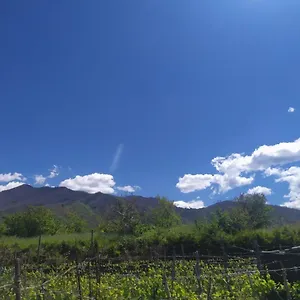 L'orto Del Vesuvio Di Laura Guidone Italie